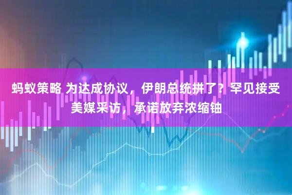 蚂蚁策略 为达成协议，伊朗总统拼了？罕见接受美媒采访，承诺放弃浓缩铀
