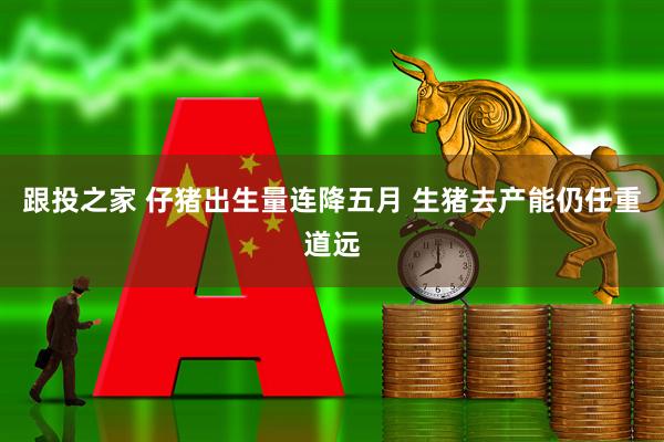 跟投之家 仔猪出生量连降五月 生猪去产能仍任重道远